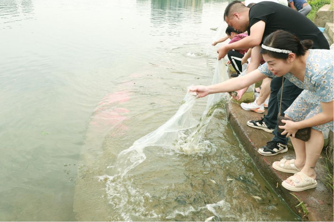市民們正在投放魚苗。單位供圖
