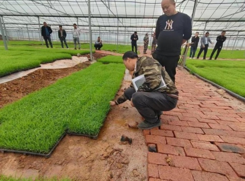 保安镇组织19个村支书在李巳村开展“走村观摩”活动。受访单位供图