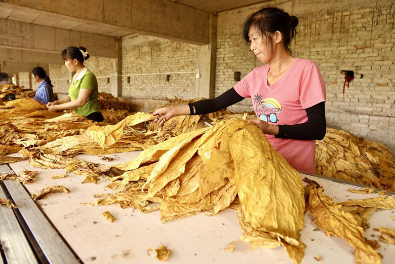 认真开展专业化分级。李根摄