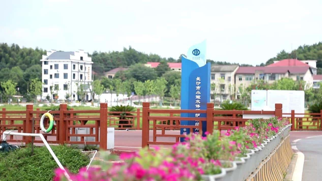 安沙镇新华村市级小微水体管护示范片区。赵子玉摄