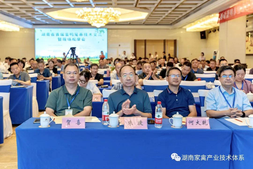 湖南省首届蛋鸭笼养技术交流活动现场。主办方供图