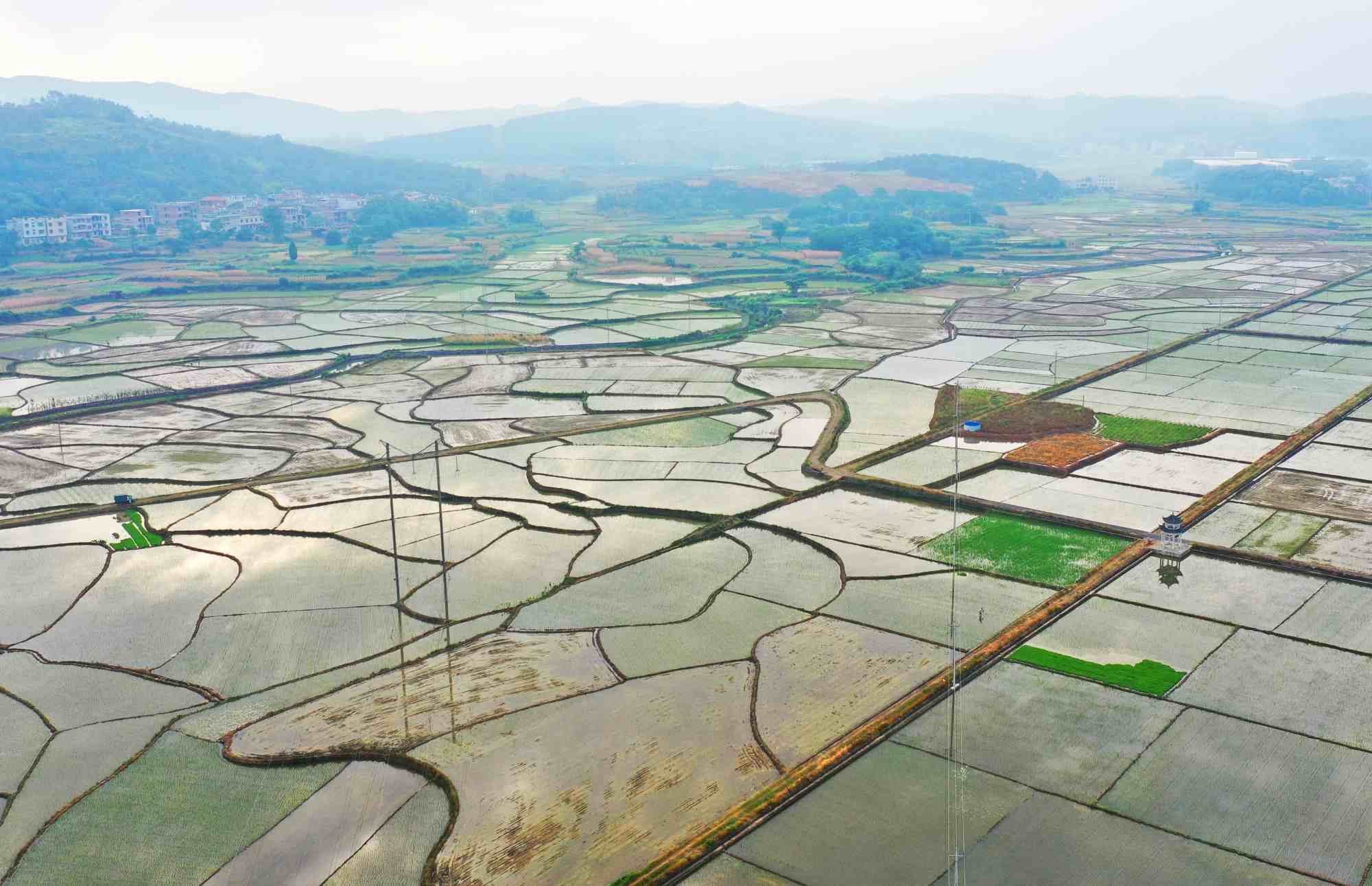 郴州嘉禾普滿鄉水面如鏡，條塊分明，猶如大地調色盤。黃春濤 攝