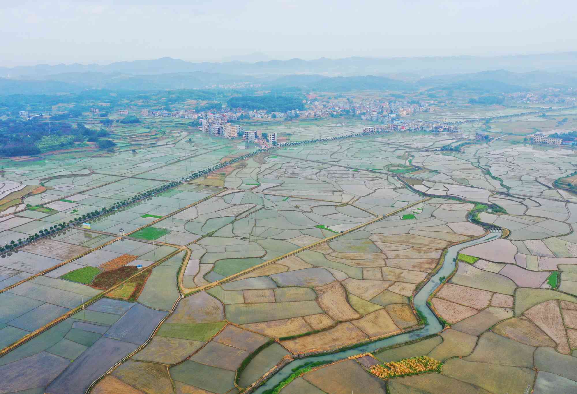 郴州嘉禾普滿鄉水面如鏡，條塊分明，猶如大地調色盤。黃春濤 攝