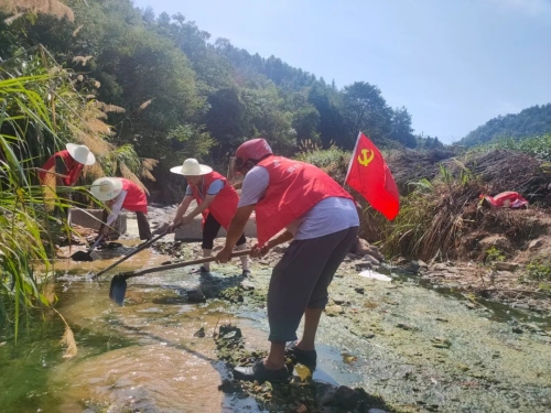 “三亮三比”行动。受访单位供图