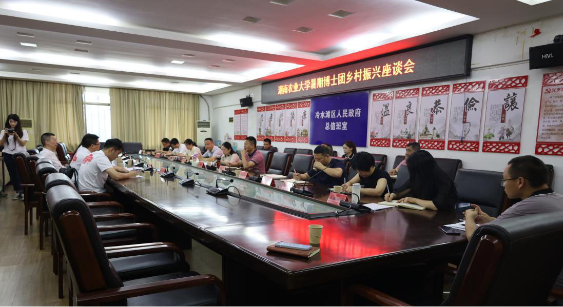 参加乡村振兴座谈会。龙昊宇摄
