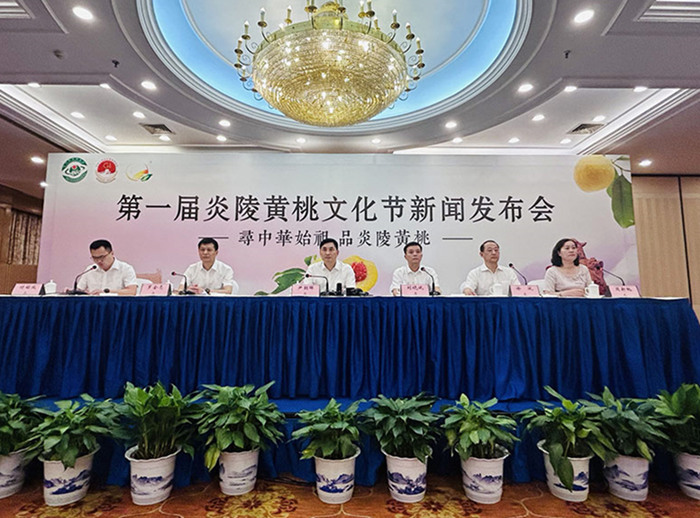 新聞發布會現場。何彪攝