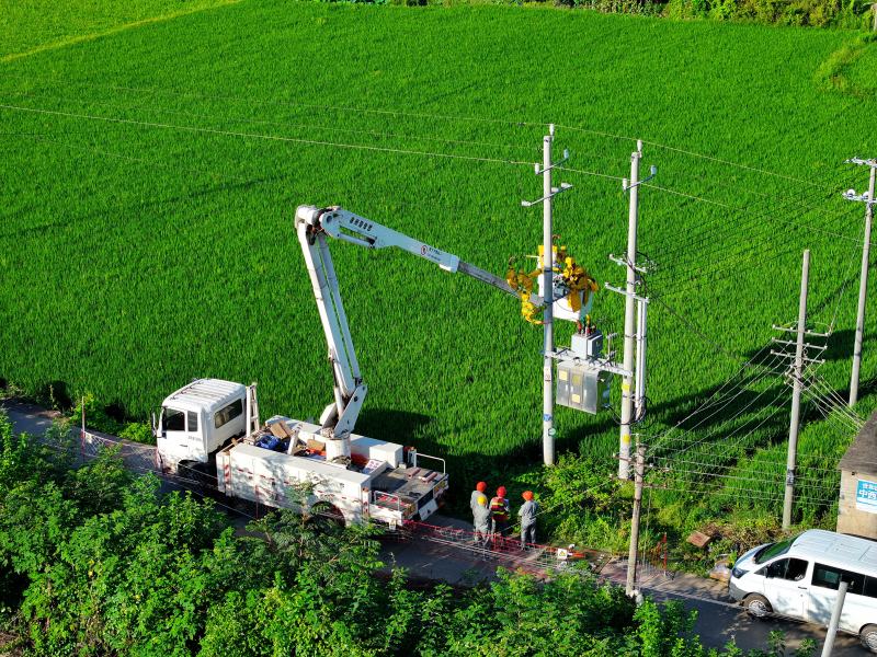 國網衡陽供電公司帶電作業工作人員在衡陽縣10千伏樟雞線開展帶電集中檢修。童迪攝