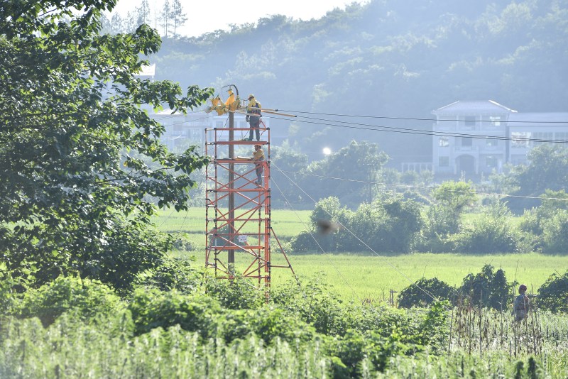 國網衡陽供電公司帶電作業工作人員在衡陽縣10千伏樟雞線開展帶電集中檢修。童迪攝