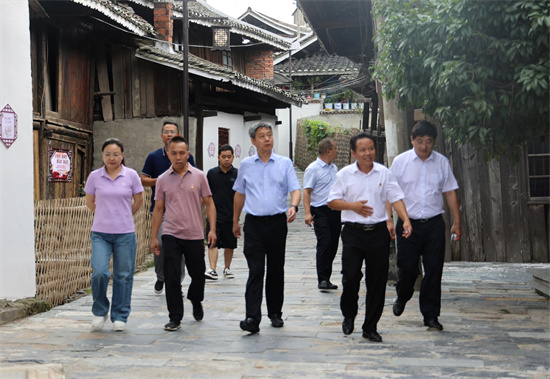 严华书记实地查看乡村民族团结进步创建工作。 受访单位供图