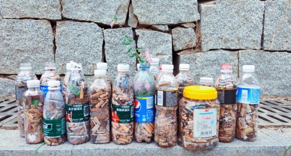 株洲市河小青行动中心组织清洁净滩及巡河志愿服务活动。单位供图