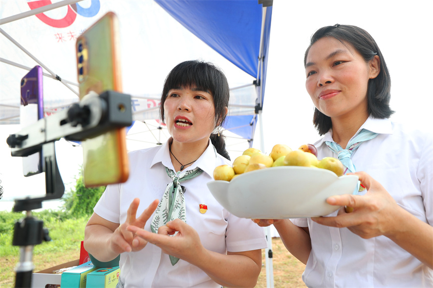 2023年8月24日，在湖南省衡阳市衡山县永和乡，乡镇工作人员利用当地的电商平台开展直播带货，销售水果。曹正平摄