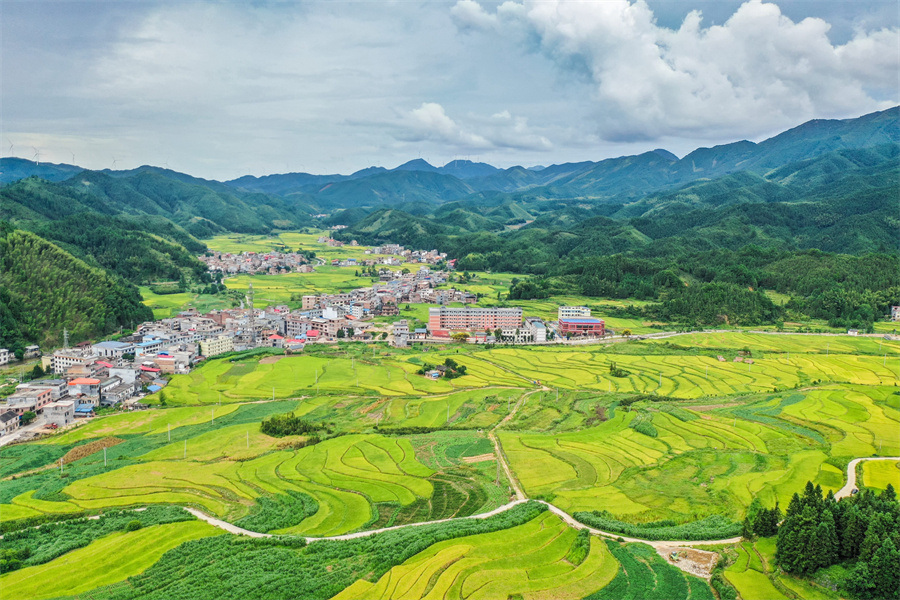 湖南省永州市蓝山县大桥瑶族乡，稻花香乡村美。彭华摄