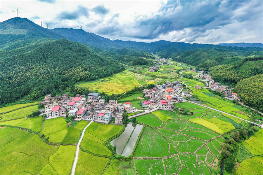 湖南省永州市蓝山县大桥瑶族乡，稻花香乡村美。彭华摄