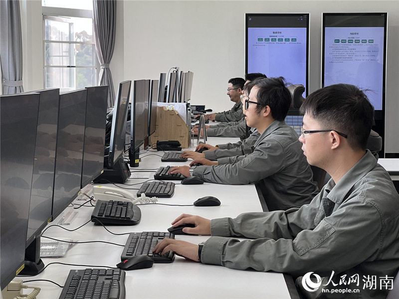 电力员工在控制室进行工作。人民网记者 林洛頫摄