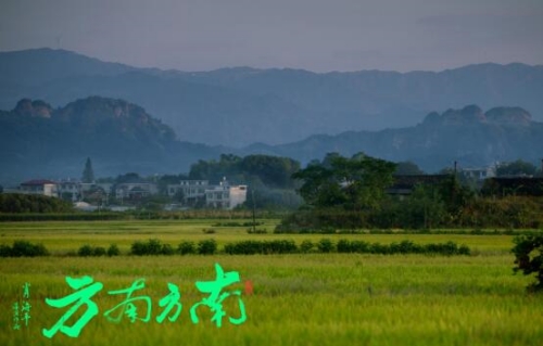 电影《南方南方》。受访单位供图