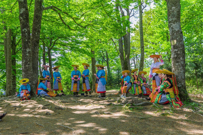 崇木凼古樹林裡的花瑤姑娘。 湖南雪峰山生態文化旅游公司供圖