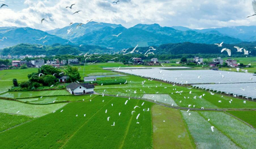 生态崀山，美丽家园。受访单位供图