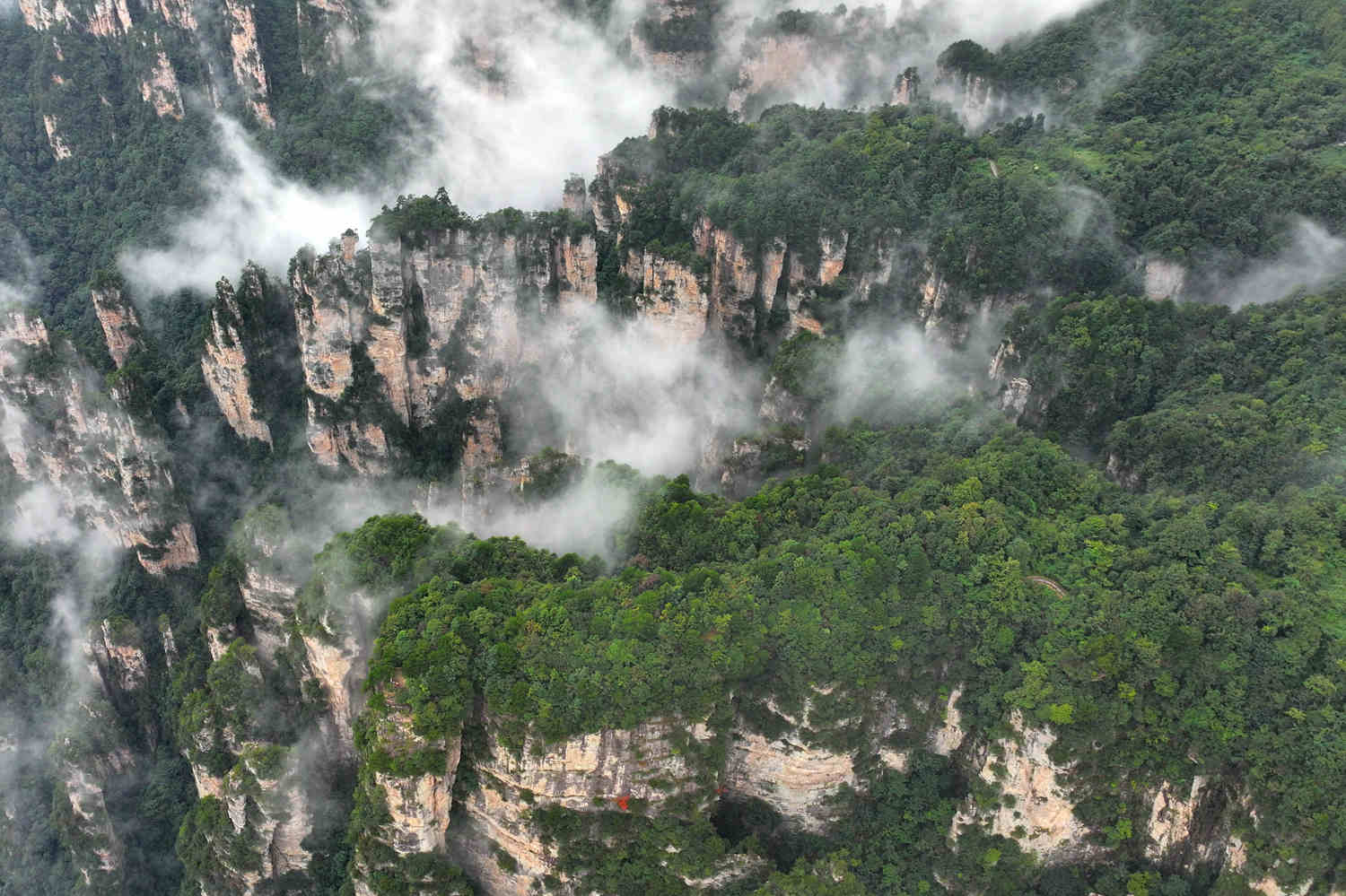 9月13日，湖南张家界国家森林公园天子山云雾缭绕。吴勇兵摄