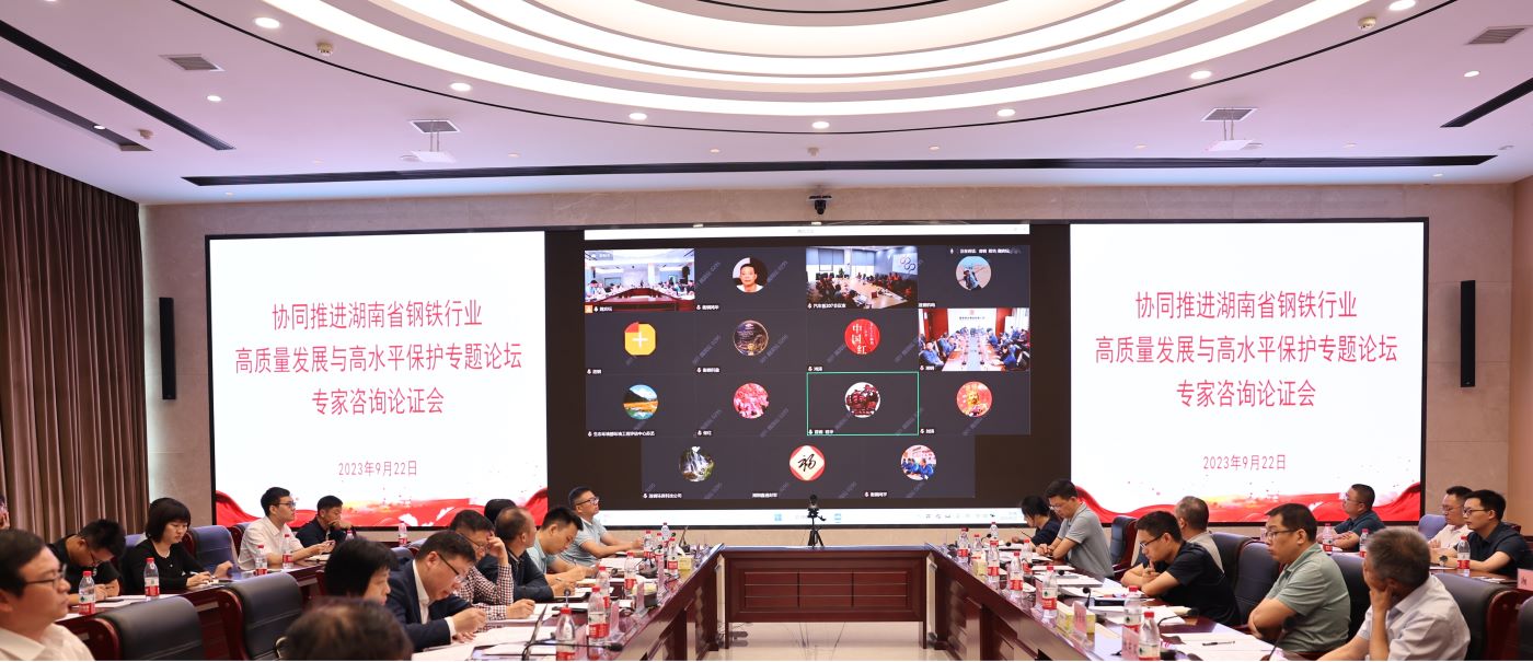 省第三督察组举办钢铁行业专家咨询论证会现场。单位供图
