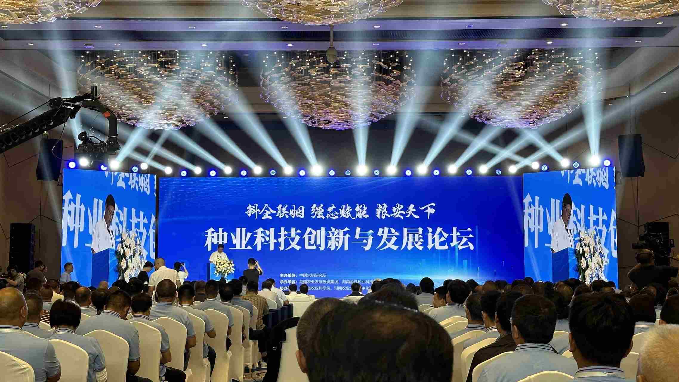 种业科技创新与发展论坛活动现场。杨欣晔摄