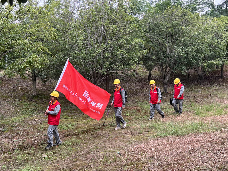 国网湖南超高压输电公司共产党员服务队在巡线。受访单位供图