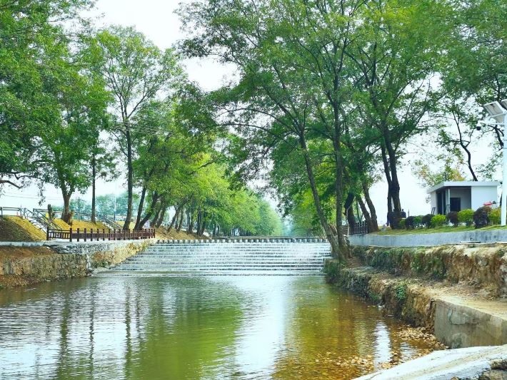 漫步在洞阳小径，一幅水清岸绿的风景画映入眼帘。洞阳镇供图