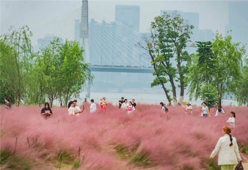 长沙市滨江景观道风光带。受访单位供图