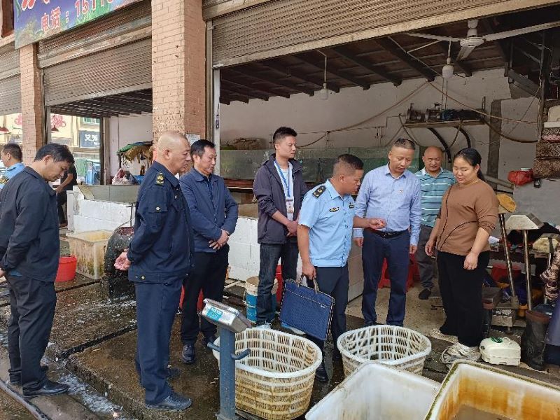 督查组检查桃江县马迹塘镇的一处水产品交易市场。袁静摄