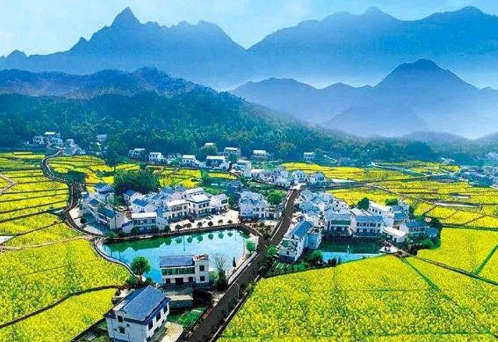 美丽乡村风景。单位供图