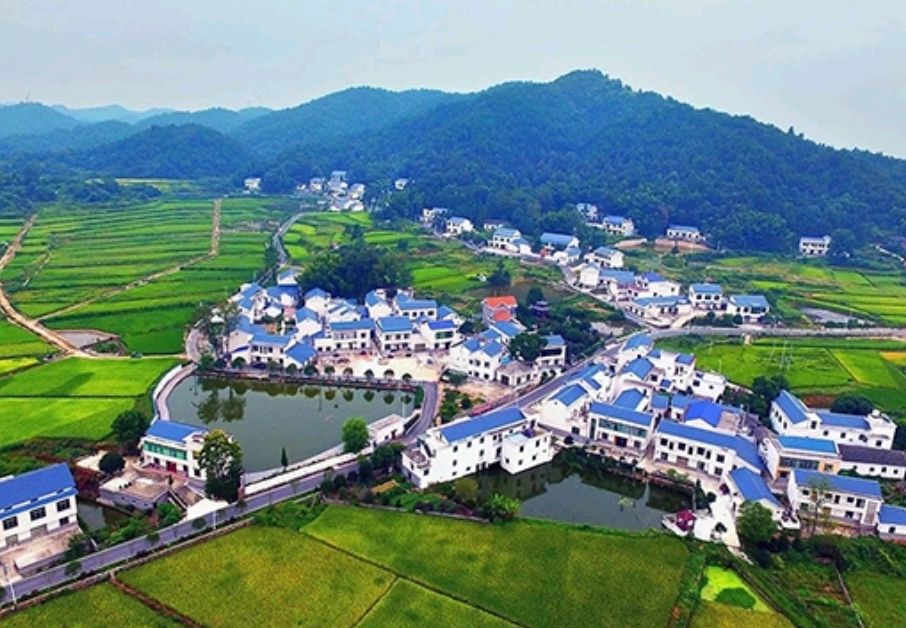 美丽乡村风景。 单位供图