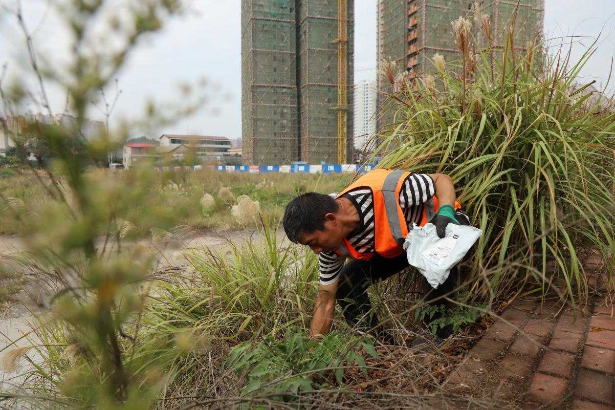 清理道路旁草叢內的垃圾。鄒小艷攝