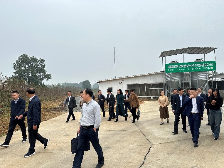 民盟湖南省委领导、民盟长沙市委领导抵达龙伏镇石江村同心大道入口。单位供图