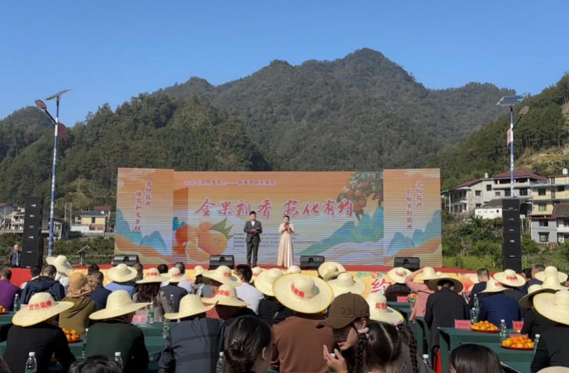 秋季邀你来摘果暨柑桔品改丰收节现场。单位供图