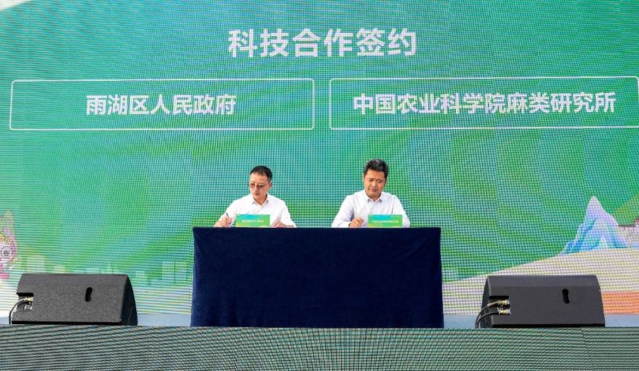 雨湖区人民政府与中国农业科学院麻类研究所签约。雷雨霞摄