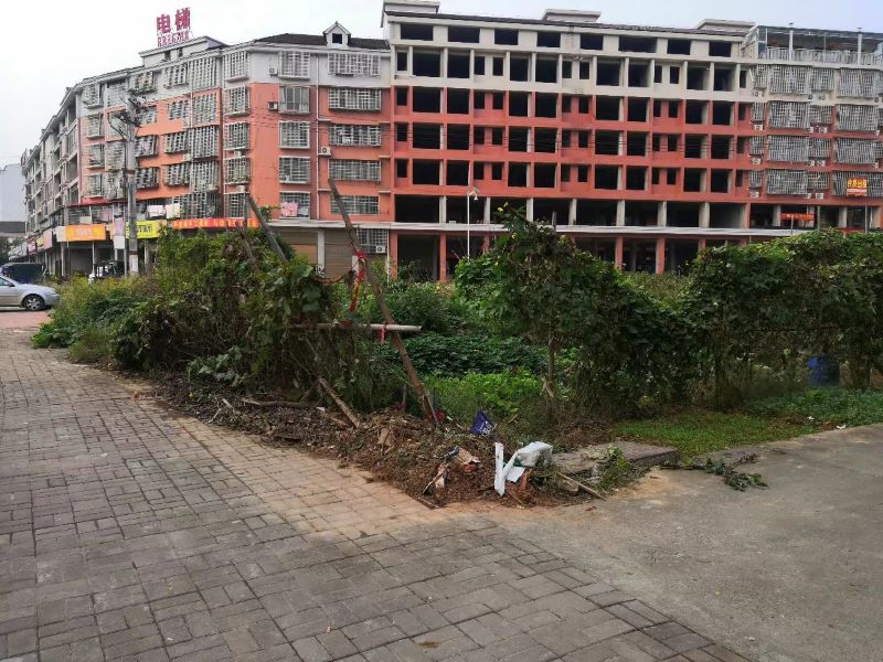 桃谷山社区美丽庭院建设前。桃花江镇供图