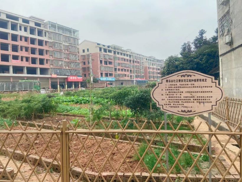 桃谷山社区美丽庭院建设后。桃花江镇供图