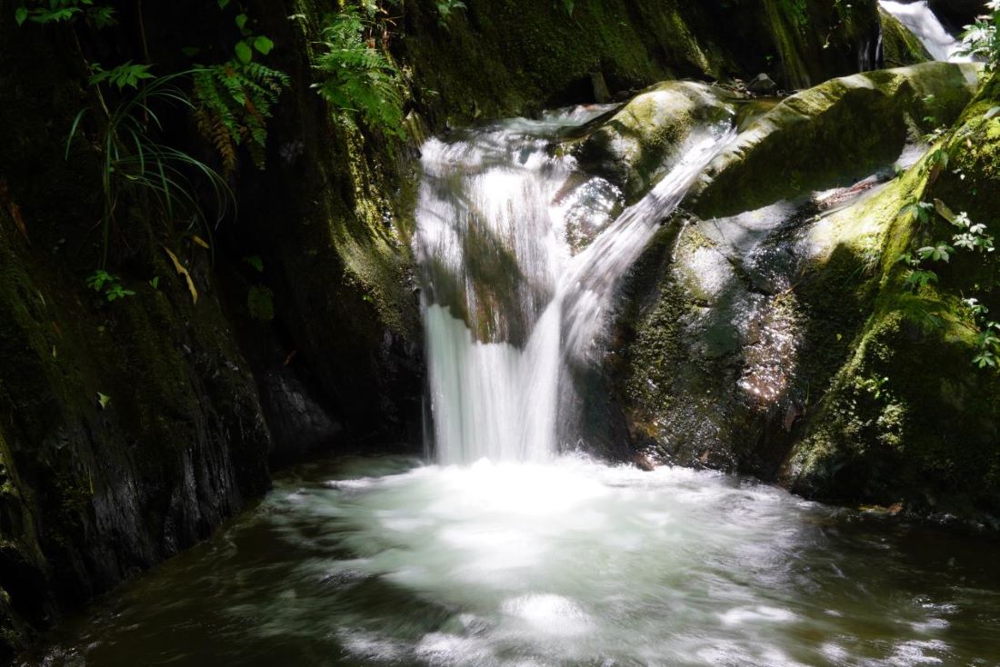 经过长期的河面清理、污水治理、示范创建，河水清澈、河道整洁。大围山镇供图
