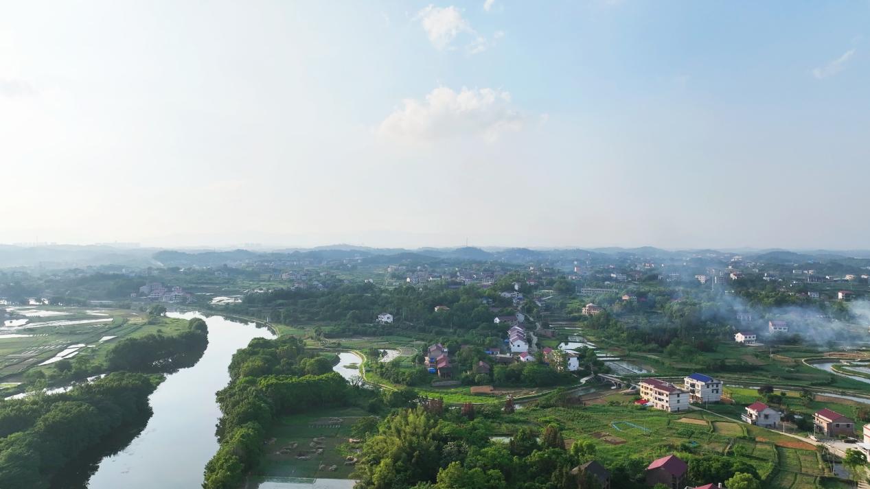 渡头桥镇水畔远景。单位供图
