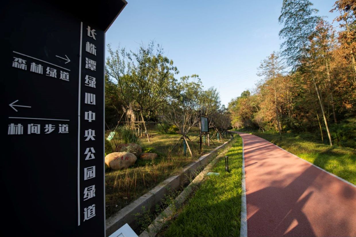 绿道图。单位供图
