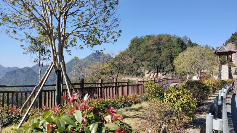 龙沙湖观景平台附近的绿植。单位供图