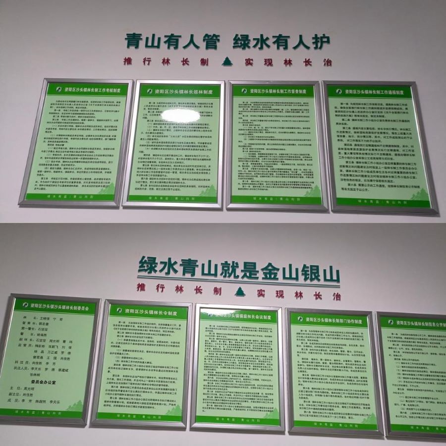 沙头镇林长办办公室里张贴着沙头镇林长制网格化管理表,各村、社区网格区域内共设立了林长制公示牌。单位供图