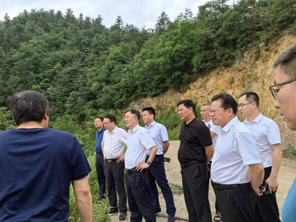 湖南省自然資源廳副廳長鄧建華調研邵陽市生態修復示范工程。單位供圖
