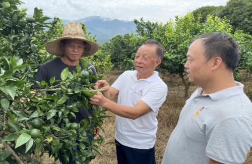 楊榮福在基地為村民指導水果種植技術。受訪單位供圖