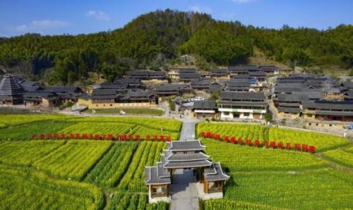 俯瞰美丽乡村——大团村。受访单位供图