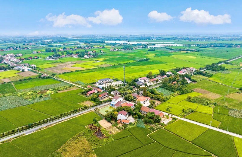 鼎城乡村生态美景。宋才华摄
