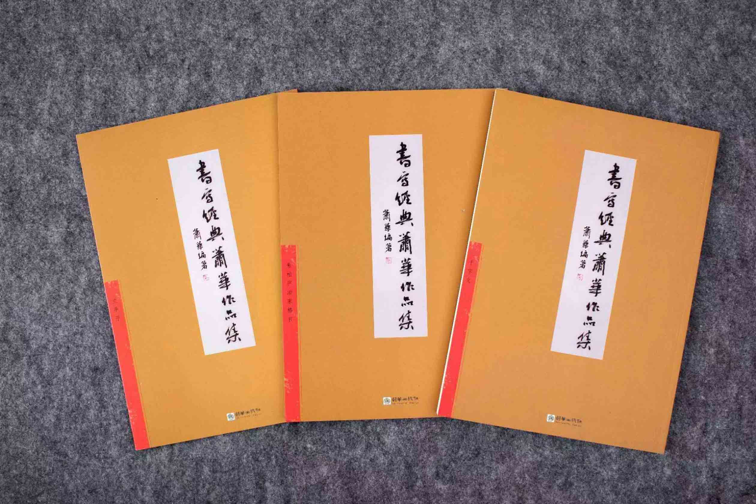 部分作品集展示。主办方供图