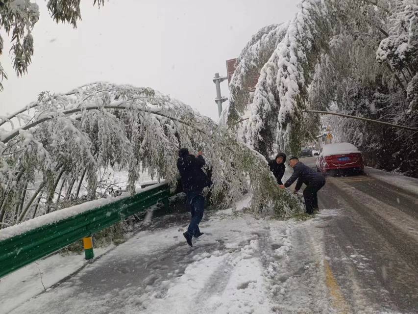 洞阳镇闻“雪”而动,依令而行。洞阳镇供图
