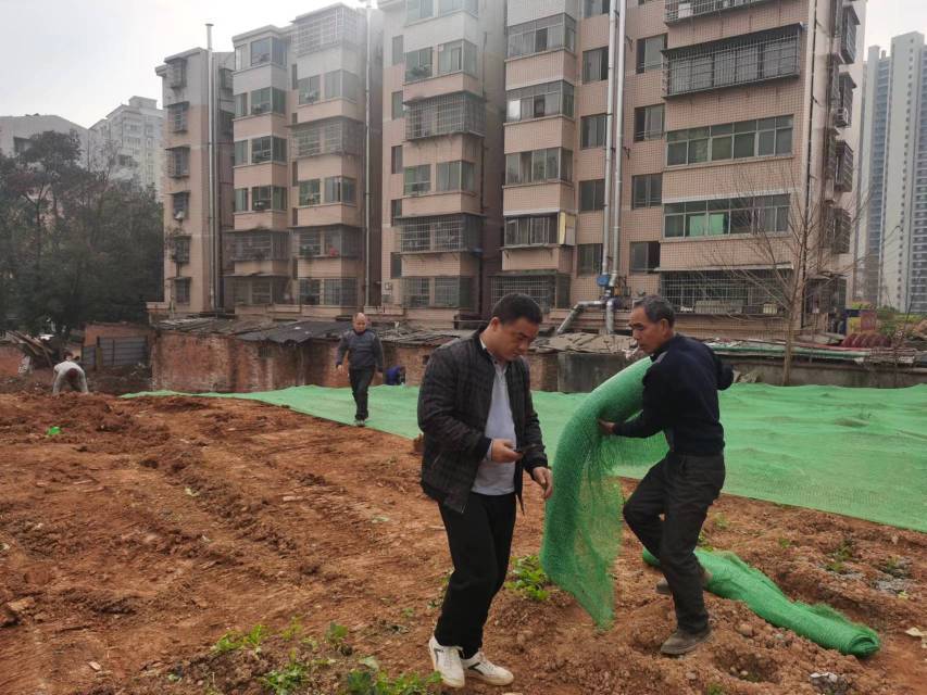 咸嘉湖街道开展违规菜地整治活动。单位供图