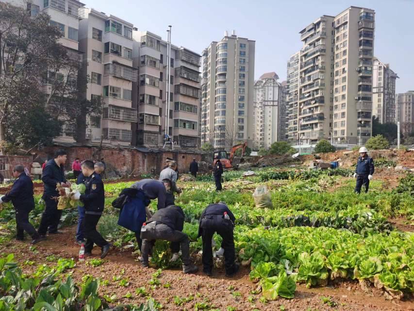 活动现场。单位供图