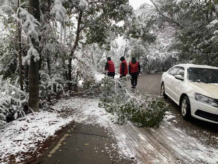 福临镇组织消防、交警、物业以及各村（社区）扫雪除冰应急队等队伍，对辖区范围内的桥梁、弯道、坡道、路口等重点路段、重点部位开展除雪清障工作。单位供图